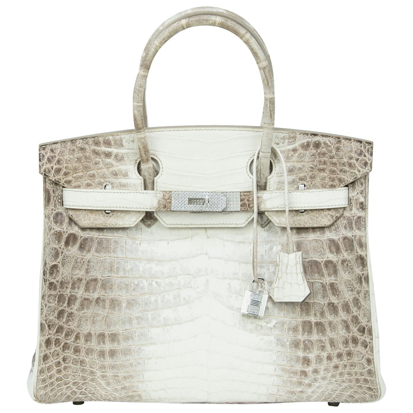 hermes crocodile bag price