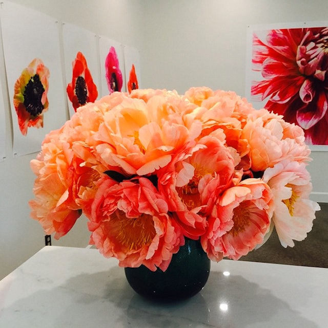 The Best LA Florists to Follow on Instagram